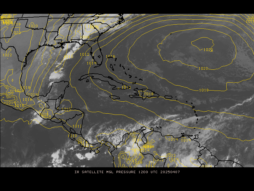 satellite image