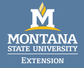 Talk at Montana State University